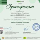 Сертификат проекта Infourok.jpg